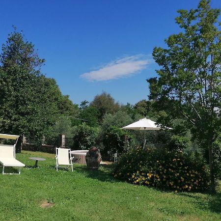 La Vedetta Daire Lucca Dış mekan fotoğraf