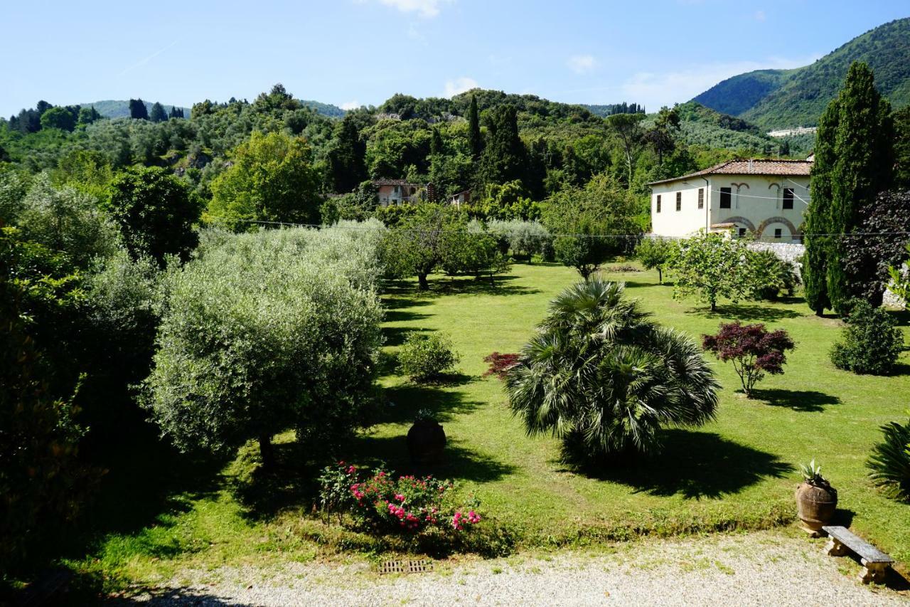 La Vedetta Daire Lucca Dış mekan fotoğraf