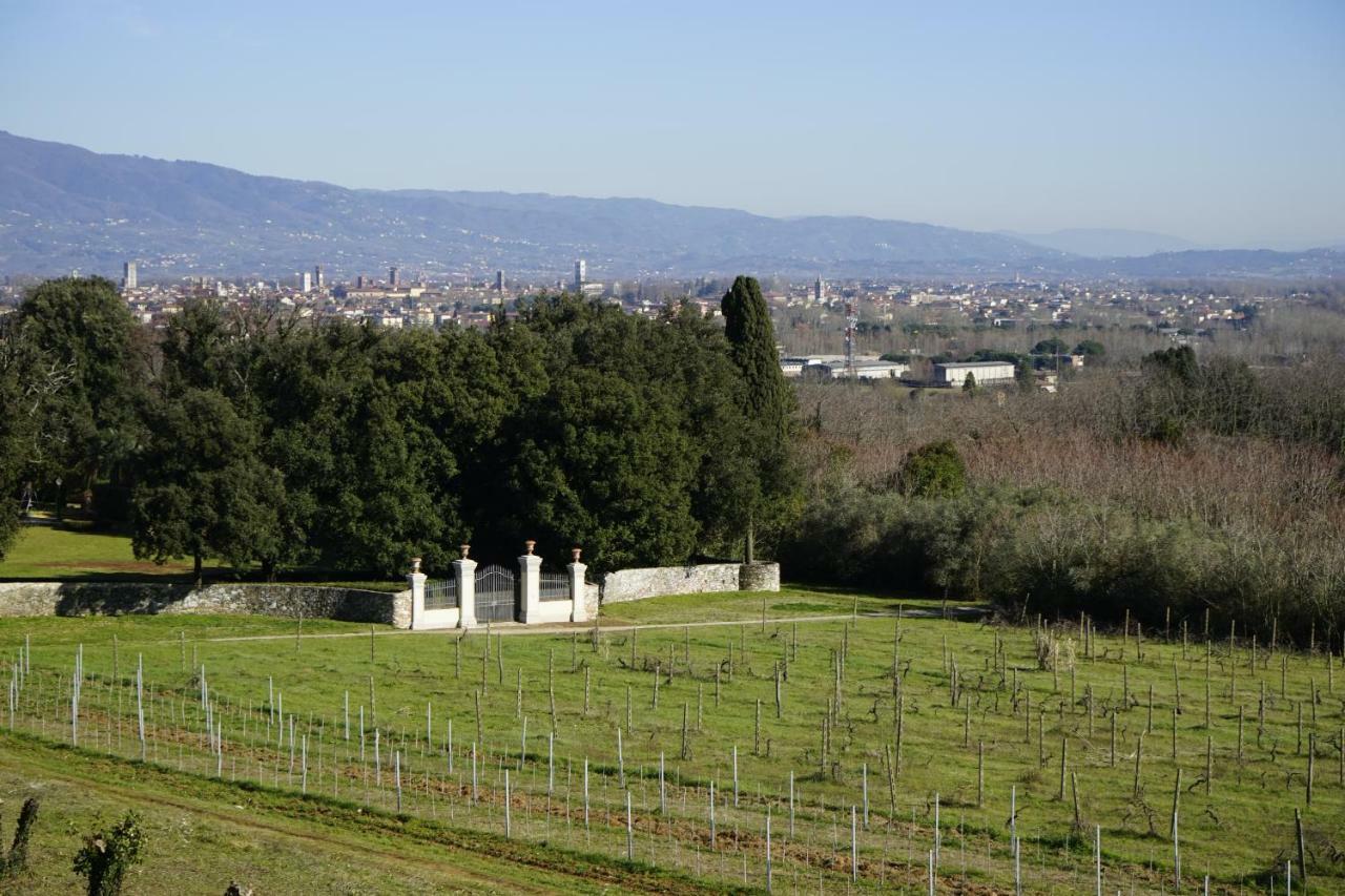 La Vedetta Daire Lucca Dış mekan fotoğraf