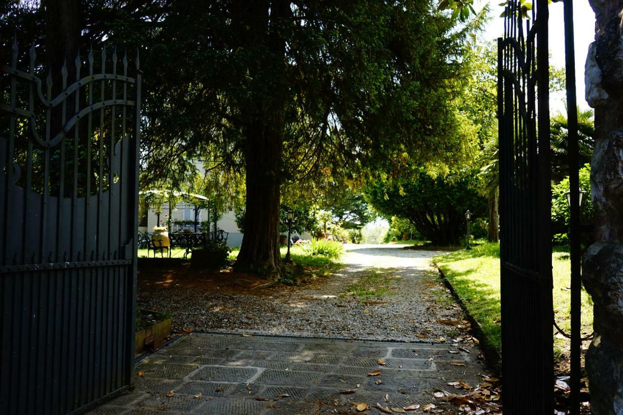 La Vedetta Daire Lucca Dış mekan fotoğraf